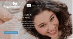 13+ Acupuncture WordPress Themes