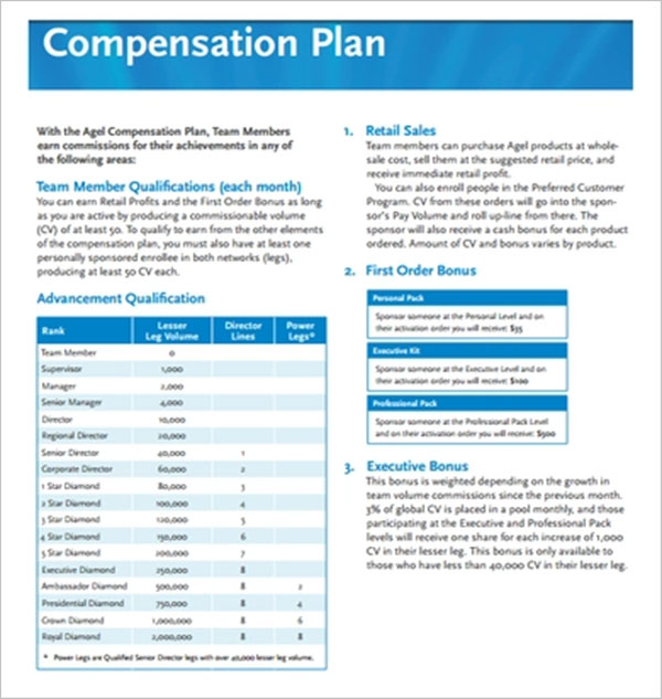 10 Compensation Plan Template Free Word Pdf Documents