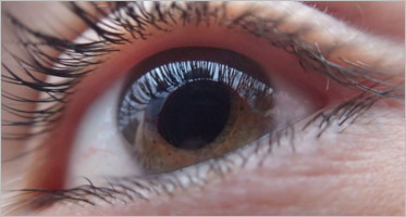 Best Retina Ready WordPress Theme