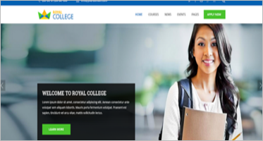 College Website Themes