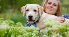 10+ Pet Animals WordPress Themes