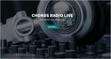 Professional WordPress Themes