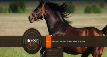 Best Animal Pet Joomla Template