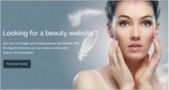 40+ Fashion Blog WordPress Website Themes