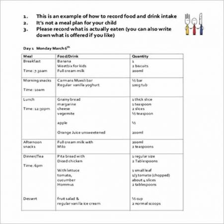 45+ Food Log Templates Free PDF, Word, Excel Examples