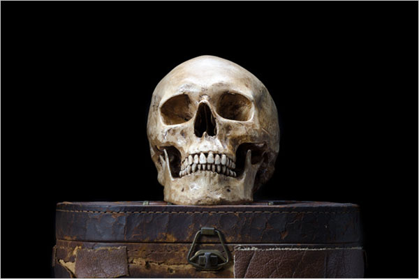 Vintage 3D Skull Model