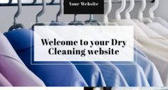 18+ Laundry Website Template