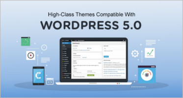 High-Class Themes Compatible With WordPress 5.0