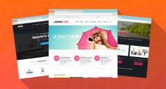 30+ Best Magento Community Themes
