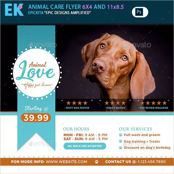 Dog-Service-Colorful-Flyer template