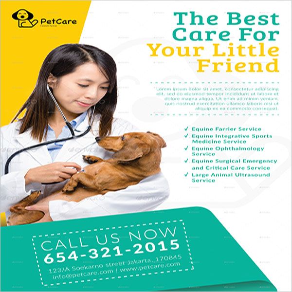 Dog-Service-Personalized-Flyer-Design