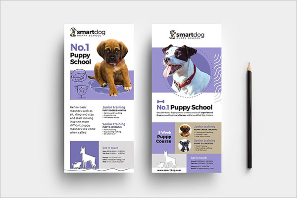 Popular Dog Service Flyer Design