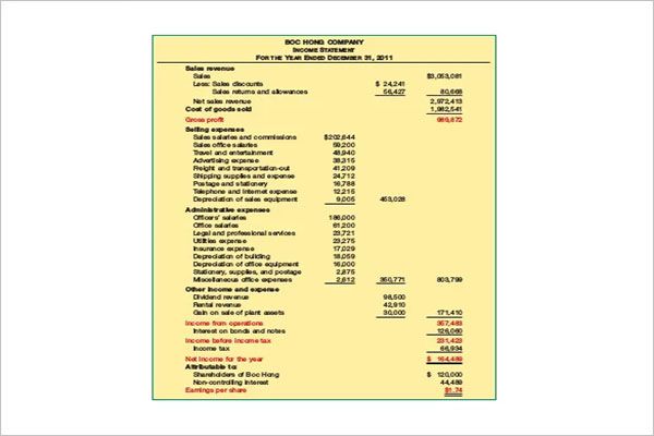 Social Income Statement Template
