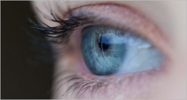 Best Retina Ready Joomla Templates & Themes