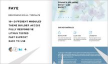 Faye Responsive Email