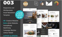 rresponsive email newsletter