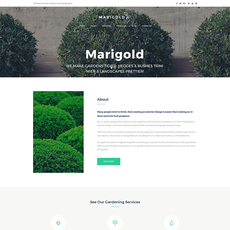 Marigold - Gardening WordPress Theme    