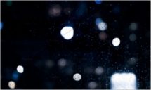 Big city comes alive at night