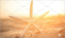 Closeup Starfish On Sand