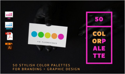 Color Palettes for Branding