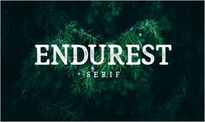 Endurest Font - Modern Serif Font