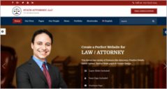 14+ Lawyer WordPress Themes