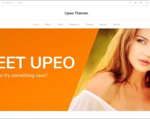 Upeo WordPress Theme