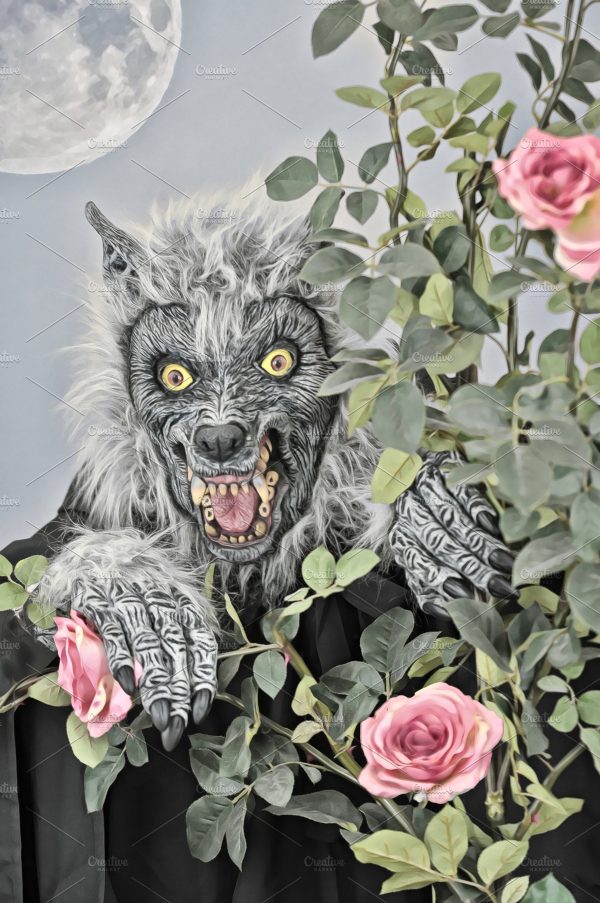 Werewolf and Roses
