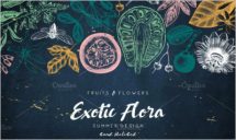 Exotic Plants Vector Collection