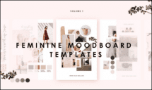 Feminine Mood board Templates