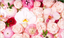 Flowers flat lay composition