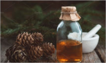Pine oil, fir cones and branches