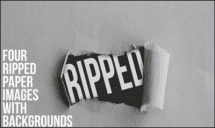 Ripped Paper Bundle