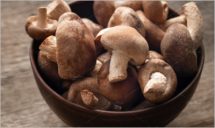 Shiitake mushrooms on wooden table