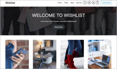 Wishlist Wordpress Theme - Free Download