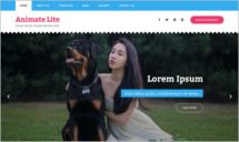 Animate Lite WordPress Theme