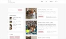 Iriska WordPress Theme