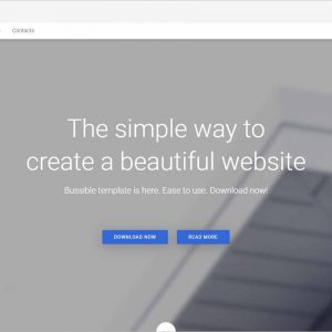 Bussible Startup Joomla Template
