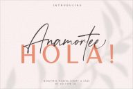Anamortee Modern Calligraphy Font
