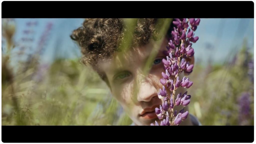 Cinematic video templates
