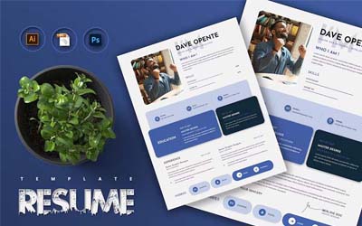 Professional Resume Template